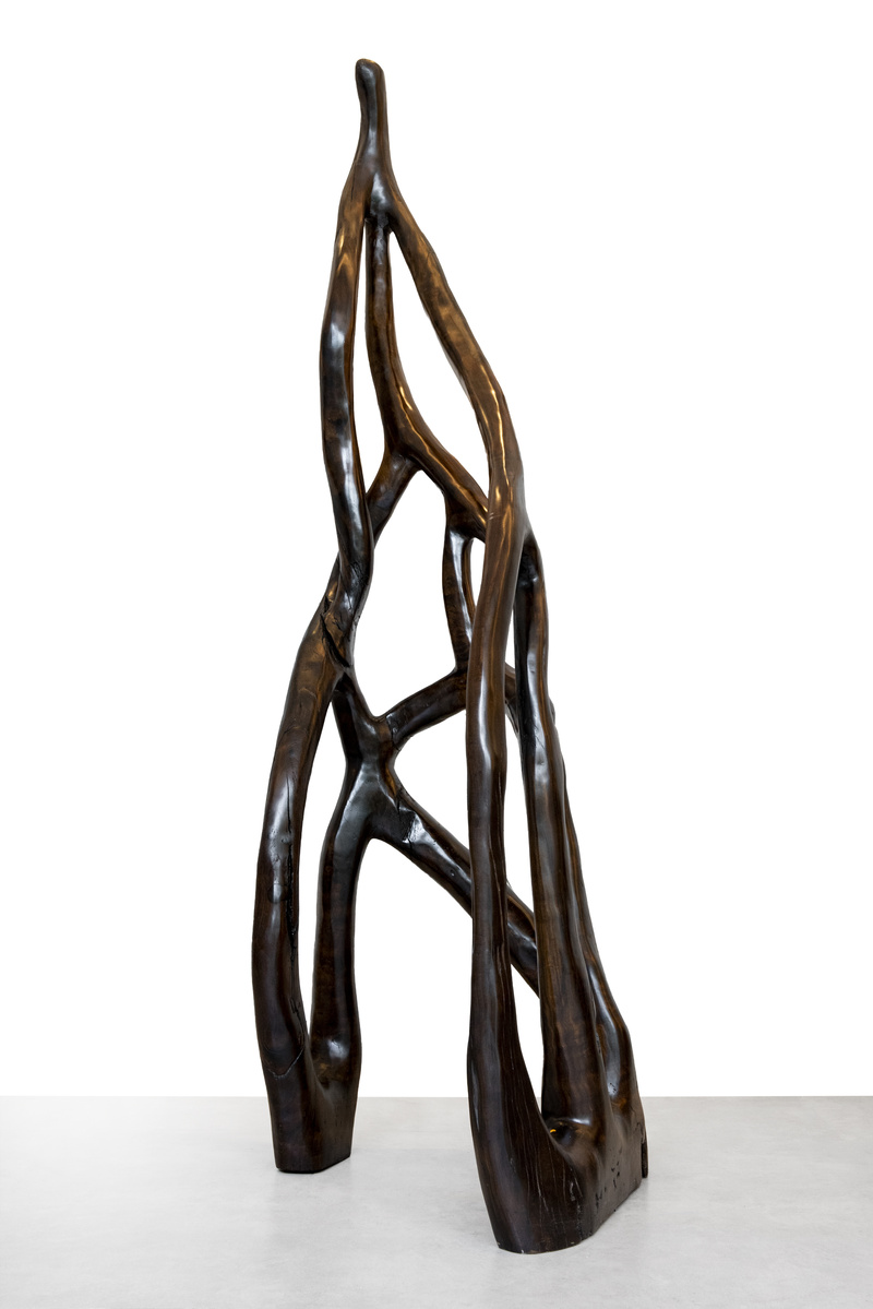 Hugo França Rosewood São Paulo